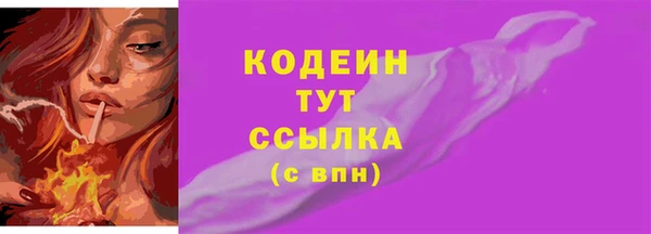 гашик Ветлуга