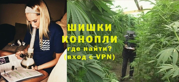 PSILOCYBIN Надым