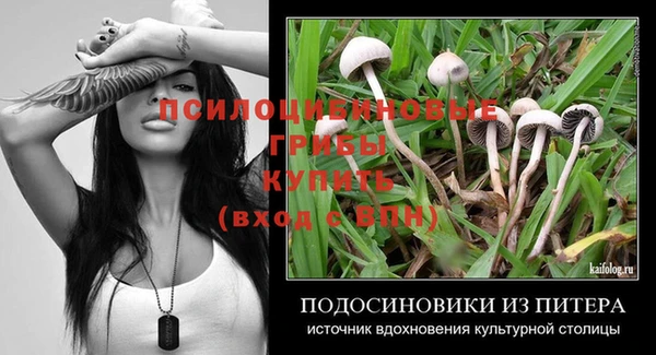 твердый Нефтекумск
