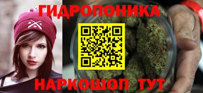 шишки Наро-Фоминск