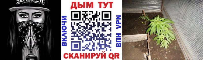 Шишки марихуана MAZAR  Полевской 